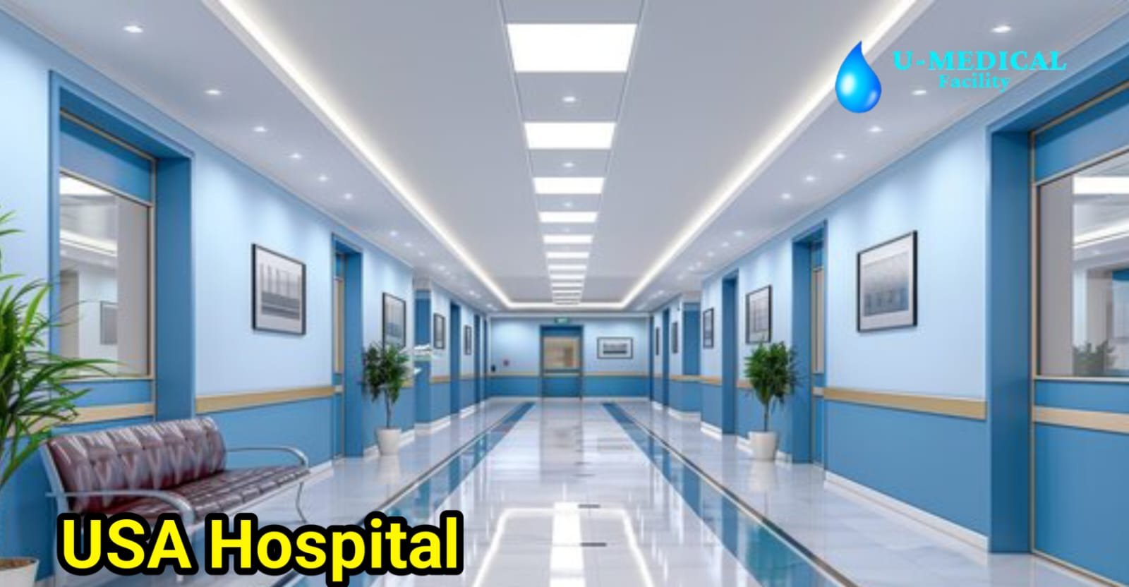 Hospital Cost in the USA