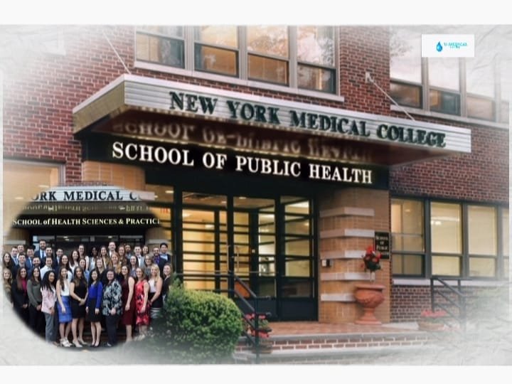 New York Medical College: The Hidden Powerhouse Transforming Future Doctors into Global Healthcare Leaders!